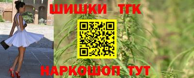 спиды Новозыбков