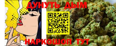 спиды Новозыбков