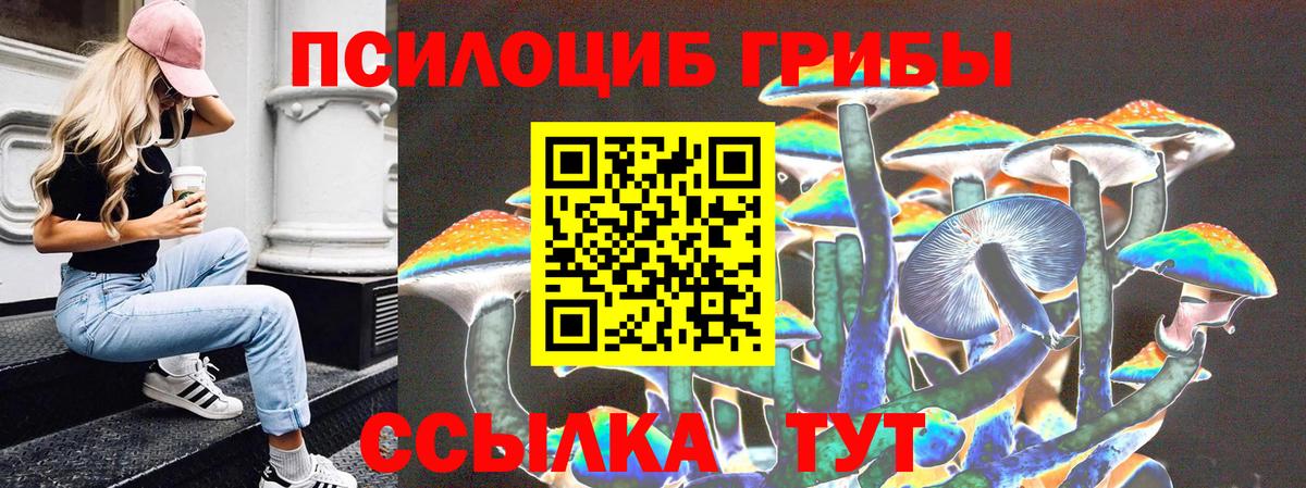 Псилоцибиновые грибы GOLDEN TEACHER  Галлюциногенные грибы GOLDEN TEACHER  Вход с VPN  Тверь 