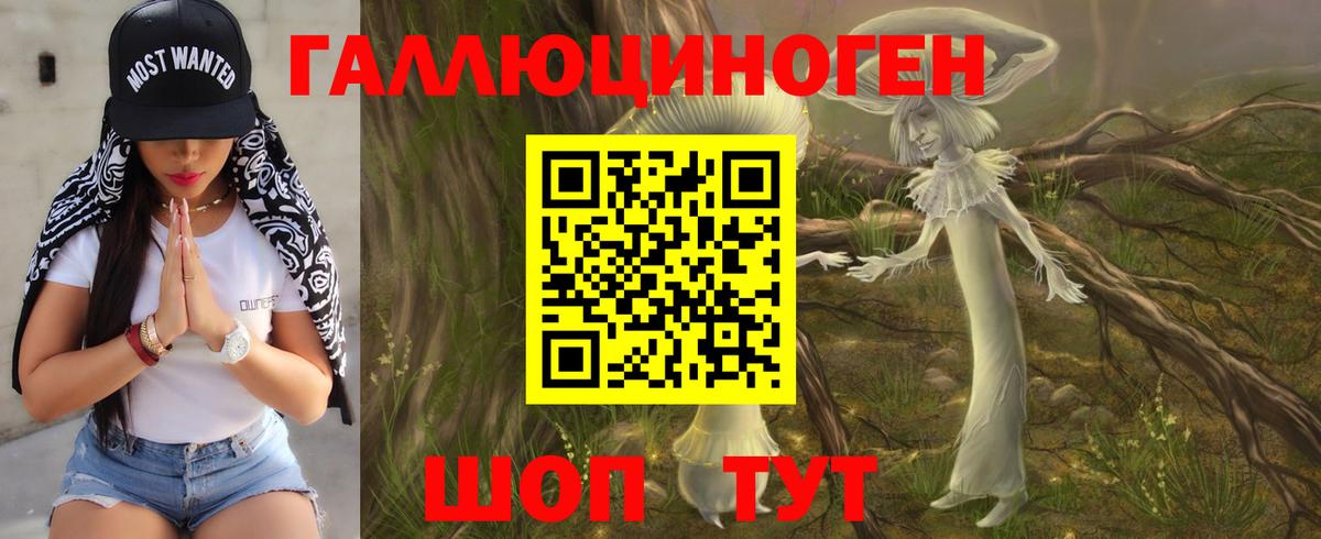 Псилоцибиновые грибы Psilocybe Тверь